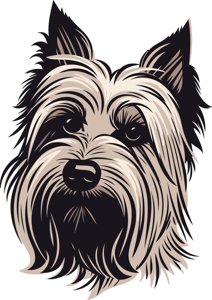 Close-up Portrait of a Cairn Terrier vector