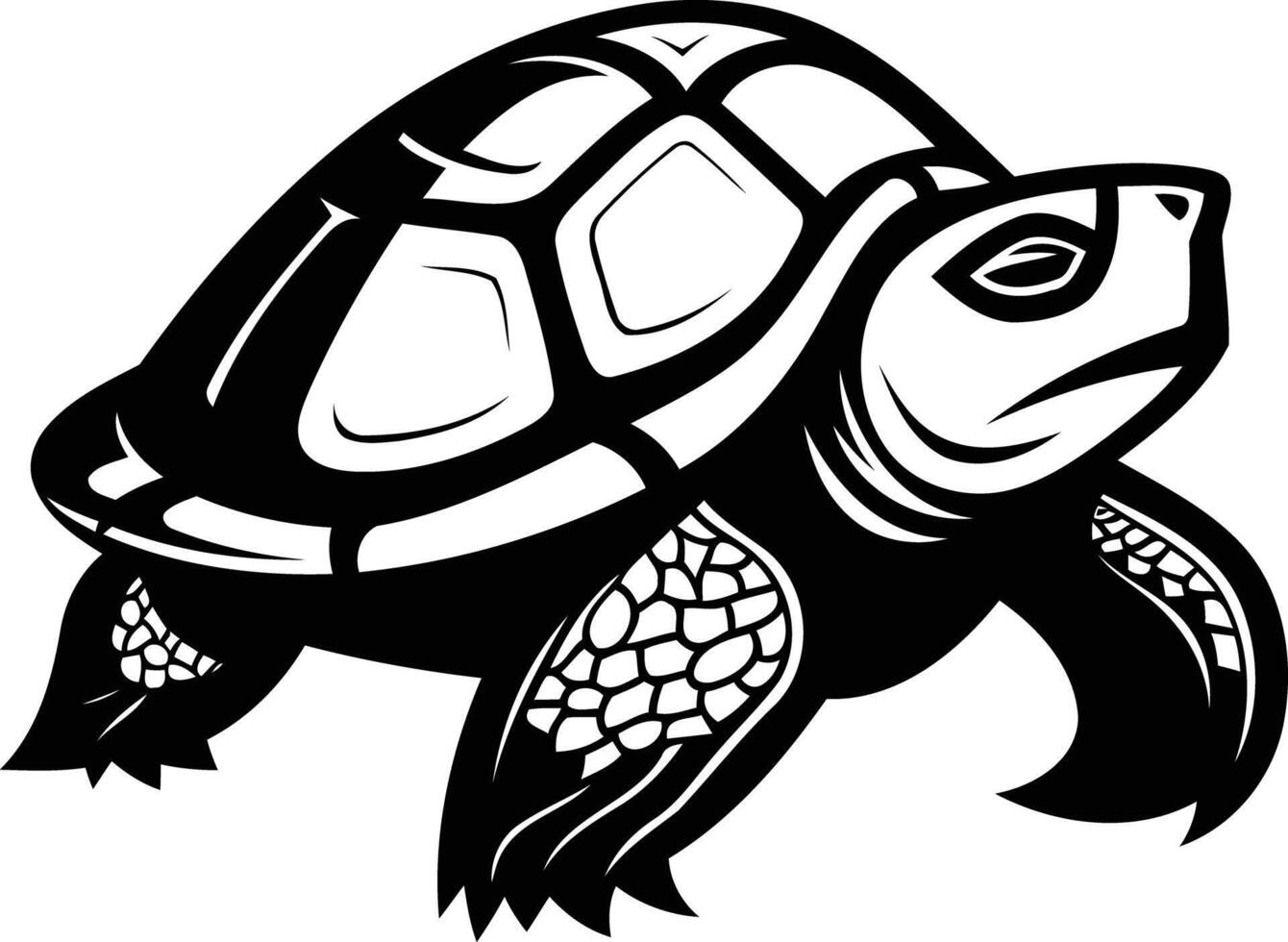 A detailed black and white illustration of a turtle in a walking pose vector