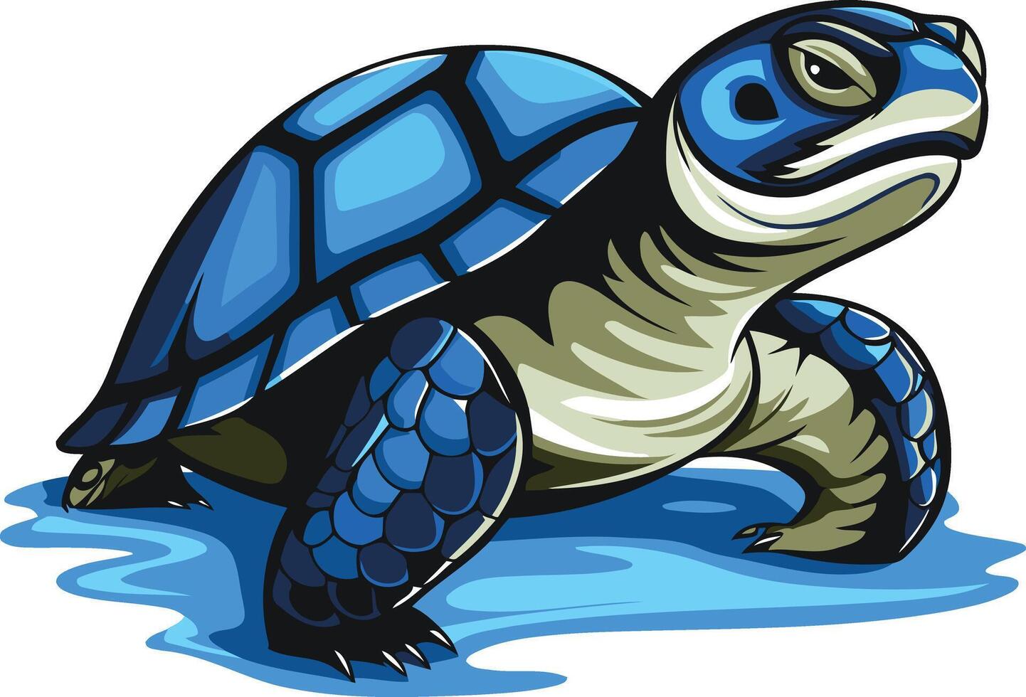 Blue Turtle Illustration vector
