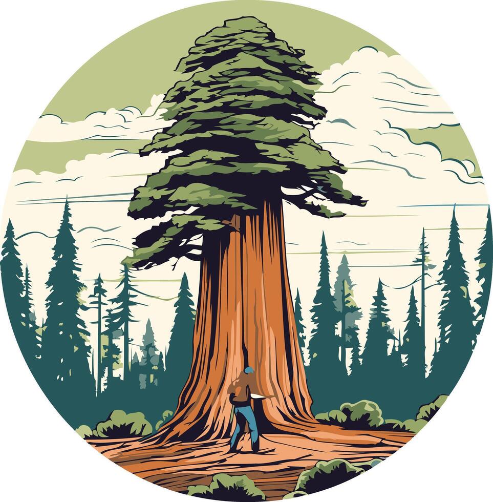 A majestic redwood tree stands tall in a forest, its vast size dwarfed only by the towering sky above vector