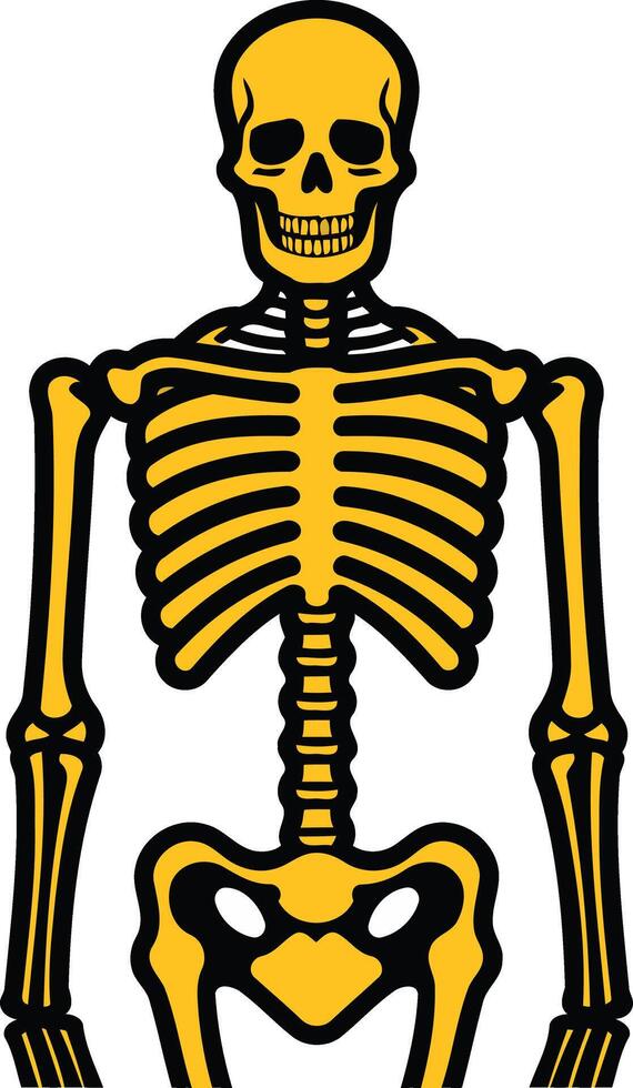 A simple, cartoon-style illustration of a yellow skeleton, perfect for halloween, medical, or anatomy-related projects vector