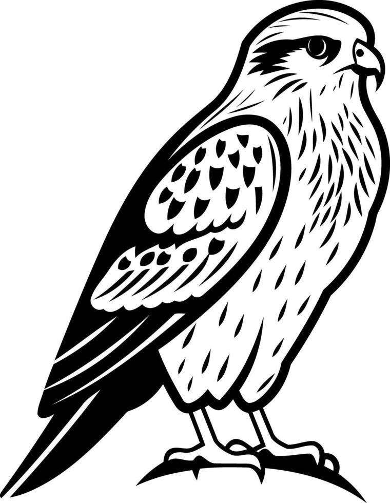 Black and white illustration of a falcon, perfect for logos, branding, and nature-themed designs vector
