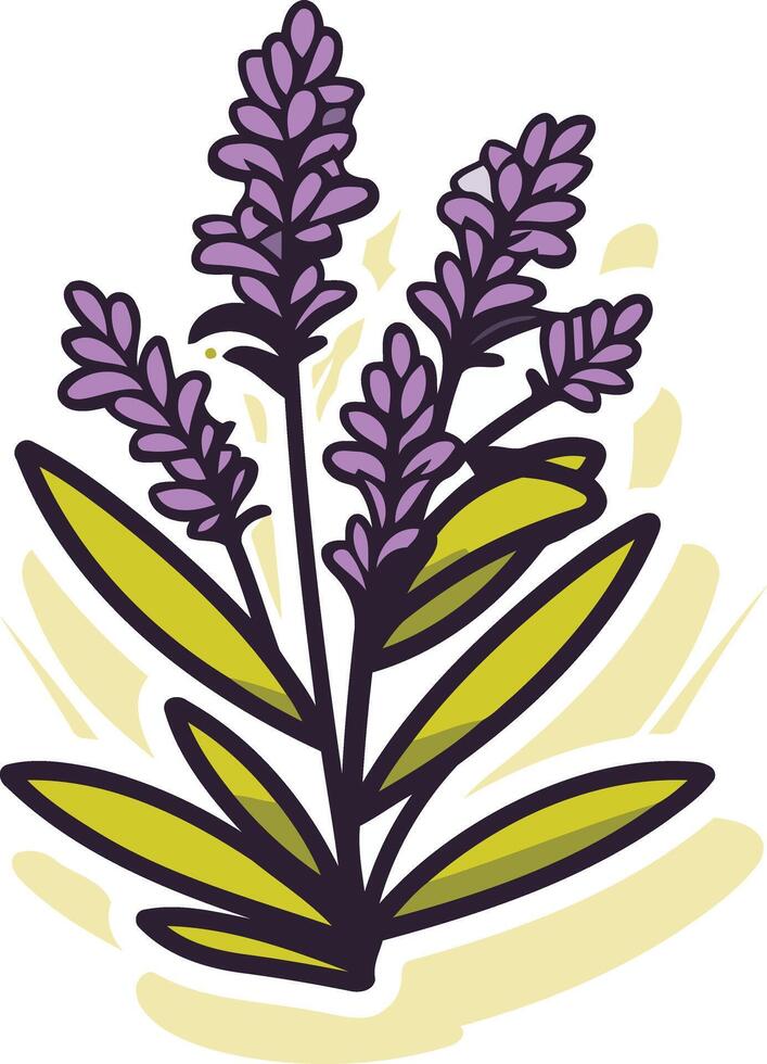 A charming hand-drawn illustration of a lavender flower, perfect for adding a touch of natural beauty to your designs vector