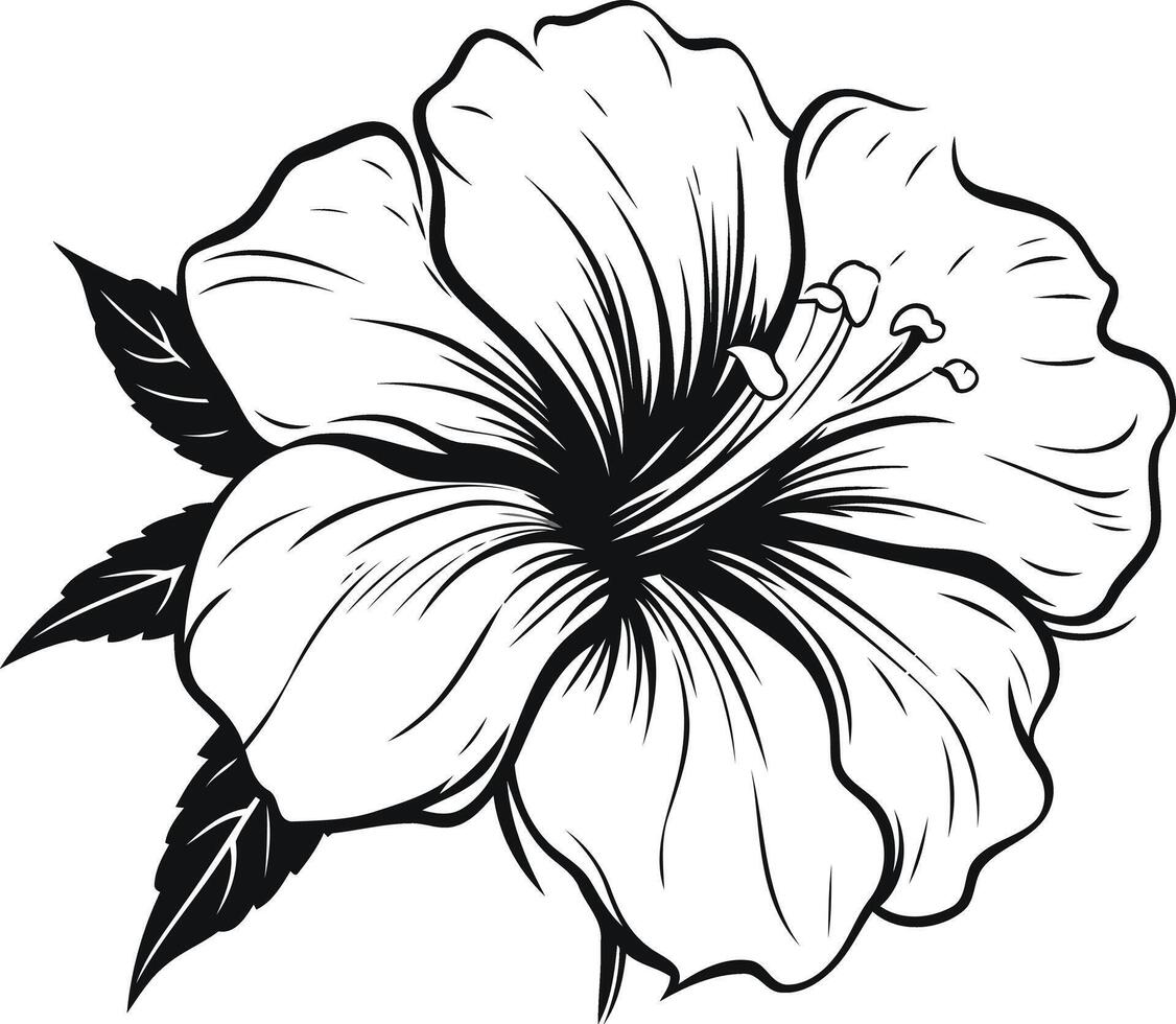 Elegant line art hibiscus flower with detailed petals vector