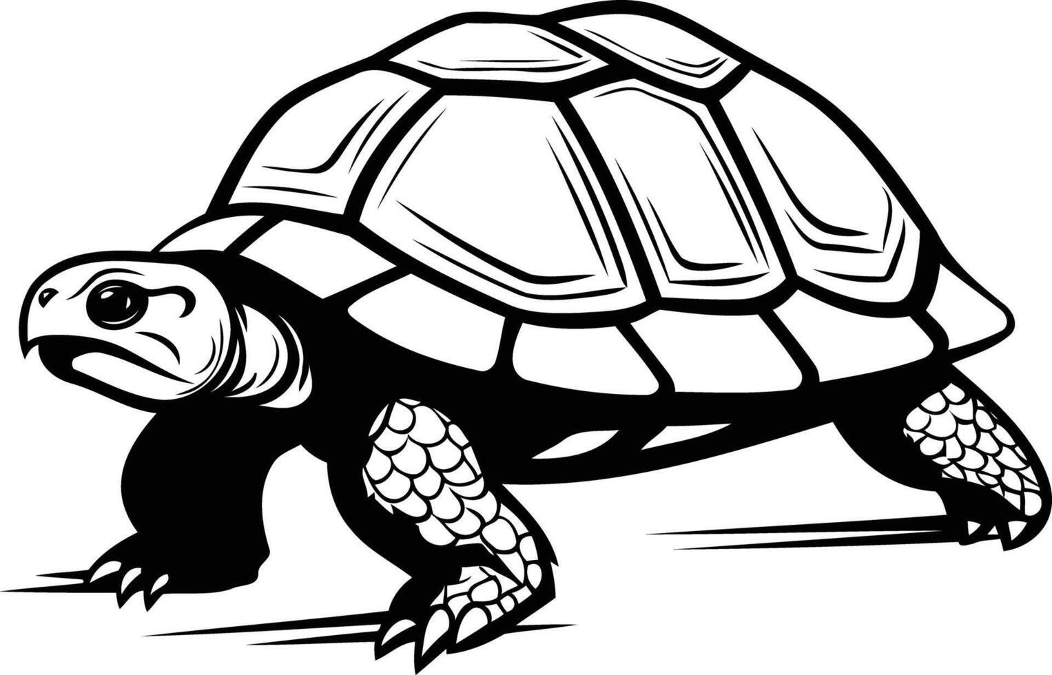A detailed black and white illustration of a turtle walking, showcasing its intricate shell and powerful legs vector