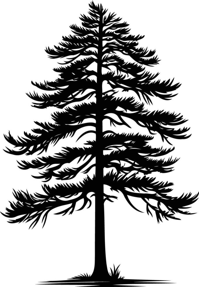 A simple yet elegant silhouette of a pine tree, perfect for nature-themed designs, logos, or illustrations vector