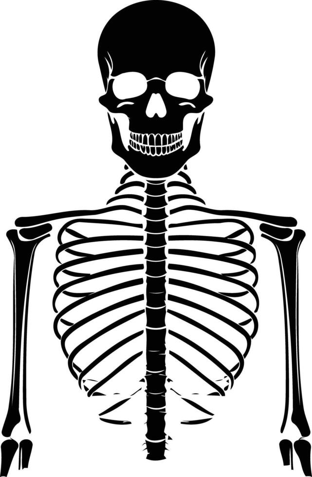 Skeleton Grin White Skeleton Grin White