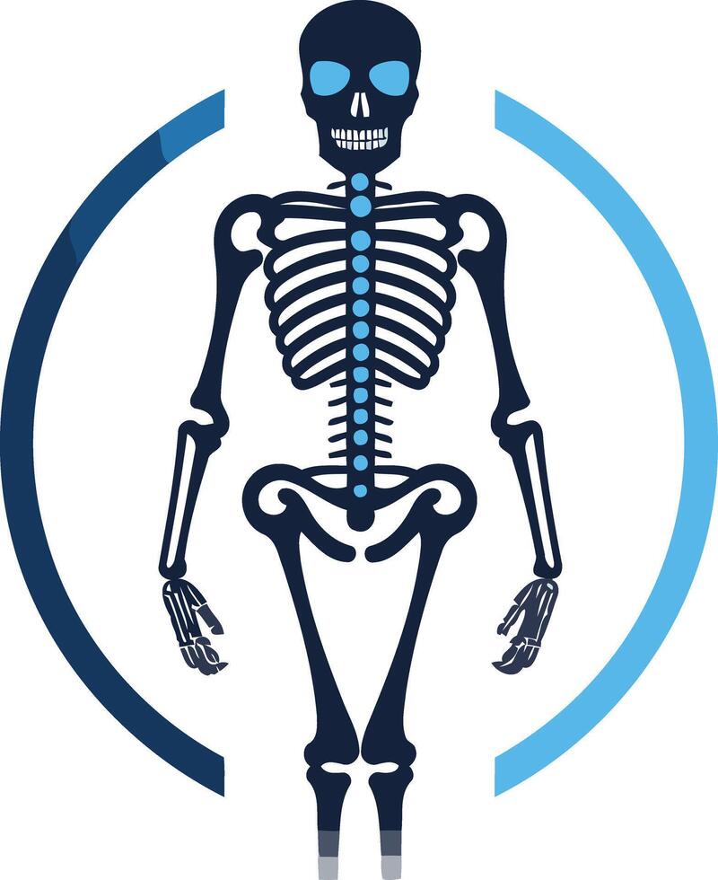 Skeleton Illustration with Blue Circle vector