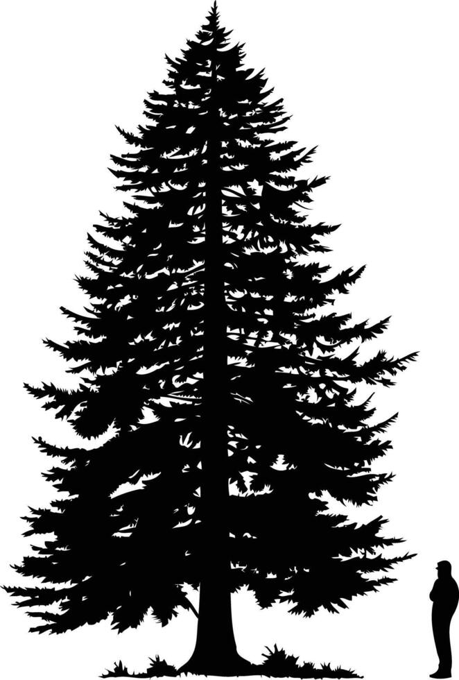 A majestic silhouette of a tall pine tree with a small figure standing beside it vector