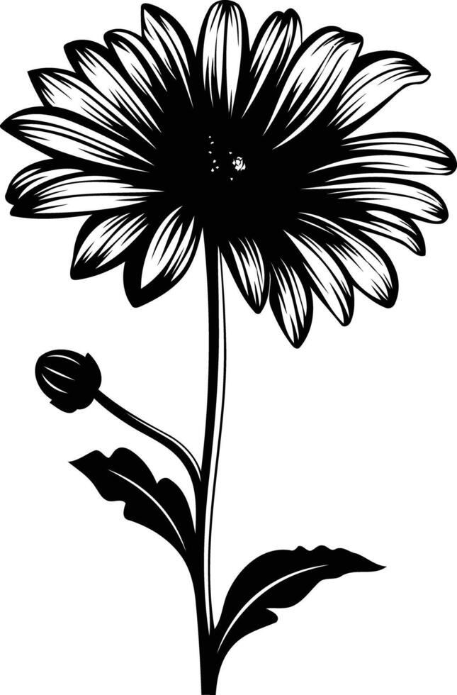 A simple yet elegant black and white silhouette of a daisy vector