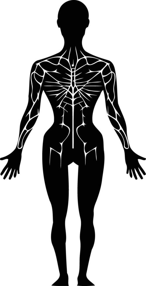 A striking silhouette of a female figure with intricate details highlighting the musculature vector
