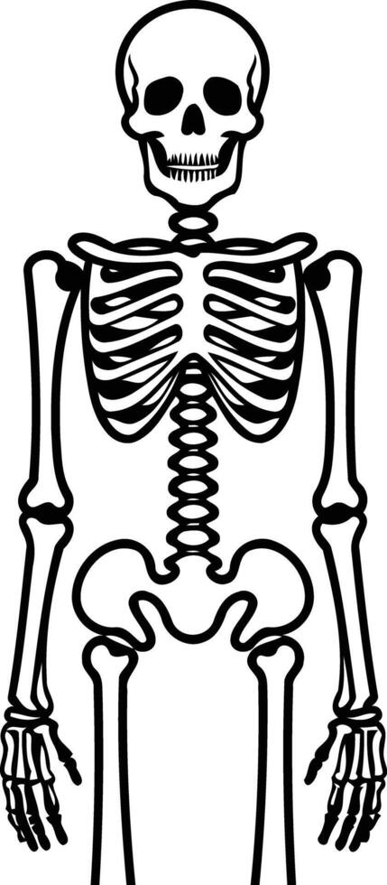 A simple, clean illustration of a human skeleton in black and white vector