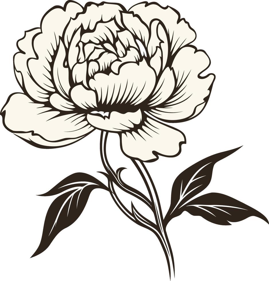 Single Peony Flower Illustration vector