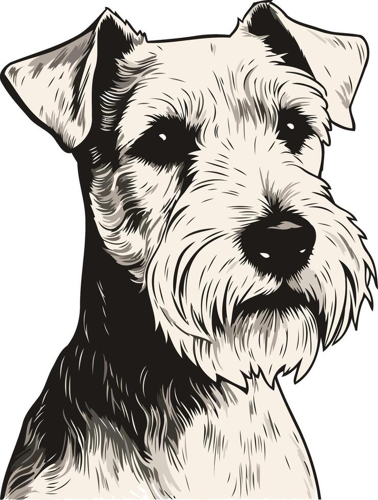 Portrait of a Wirehaired Dachshund vector