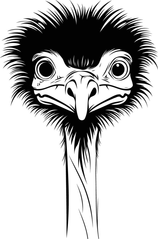 A striking black and white illustration of an ostrich head vector