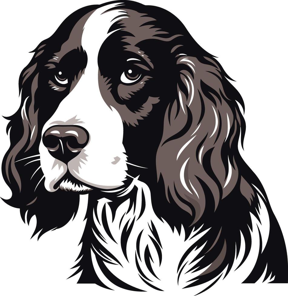 A stylish illustration of a springer spaniel dog, perfect for pet-related branding and designs vector