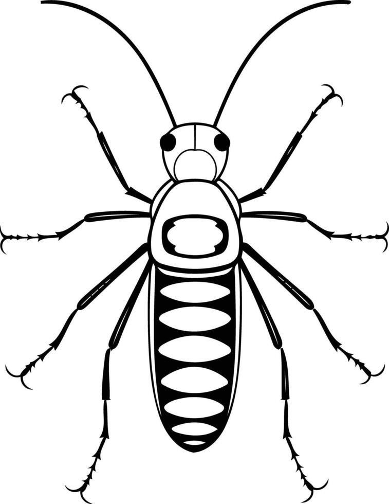 Simple line art illustration of a beetle, perfect for biology textbooks, educational materials, or nature-themed designs vector