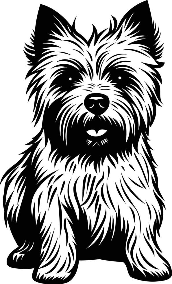 A detailed, black and white illustration of a cairn terrier sitting with a friendly expression vector