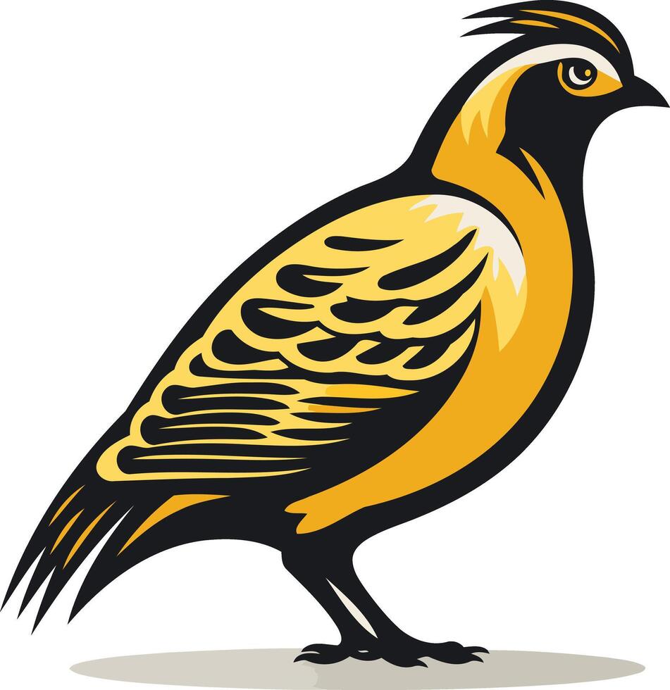 California Quail Illustration vector