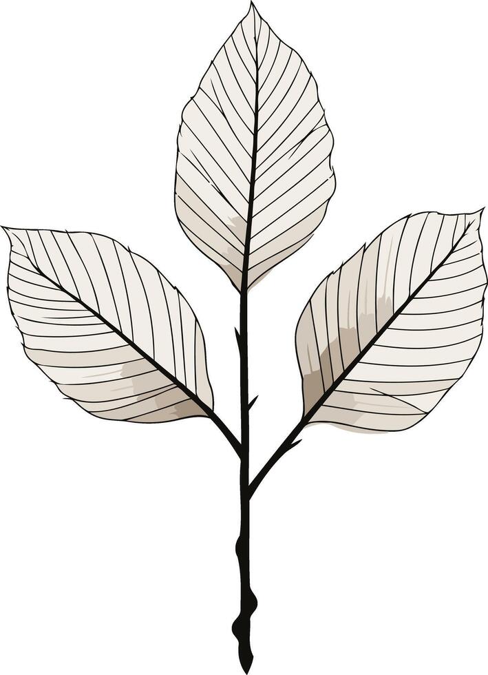 Elegant, minimalist illustration of three leaves on a branch vector