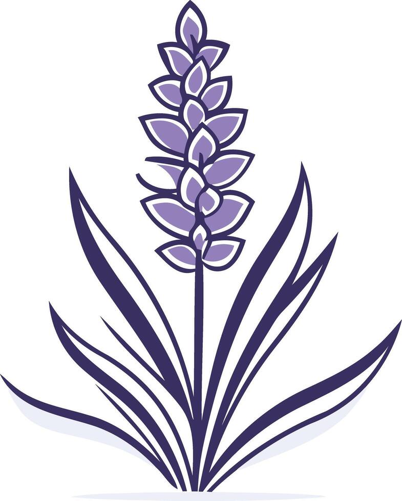 Simple, elegant lavender flower illustration vector