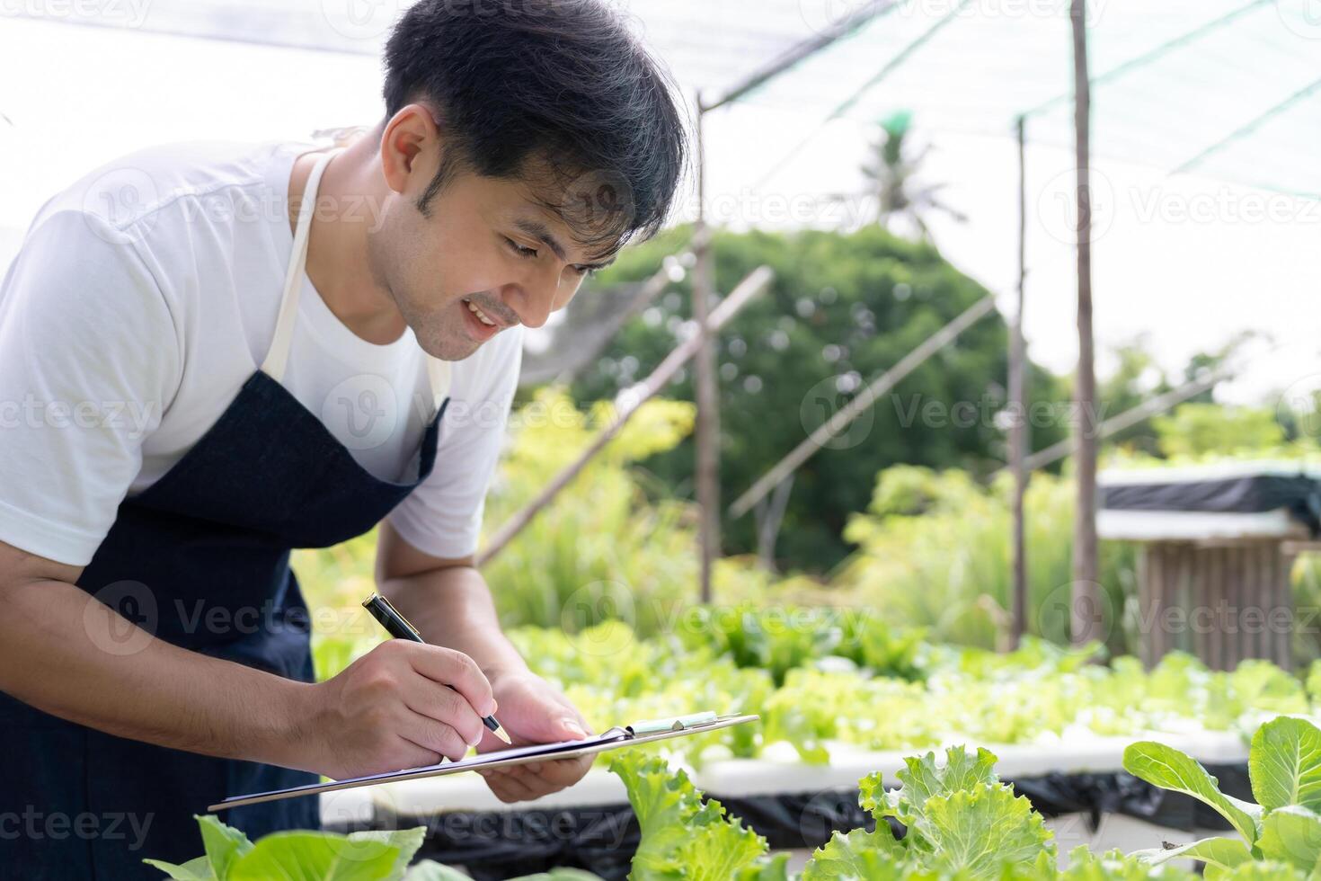 Organic farming, vegetable farm. Farmers recheck quality record on data on checklist. grow naturally, Ecological Biological, Healthy, Technology, non toxic, harvest, scientific , academic photo