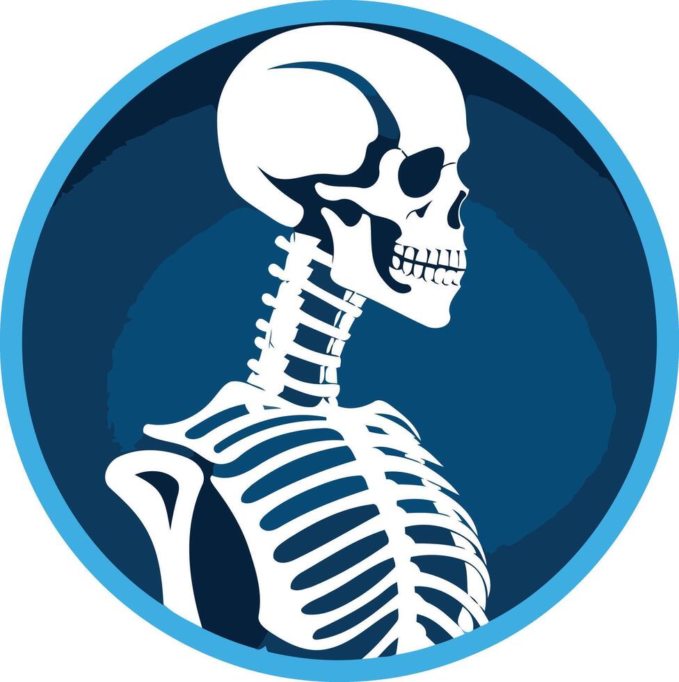 A simple yet striking illustration of a human skeleton in profile, encased in a blue circle vector