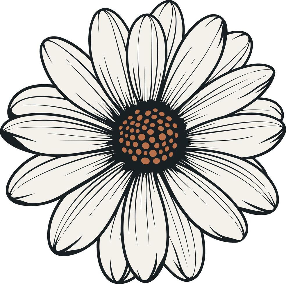 Line Art Illustration of a Daisy vector
