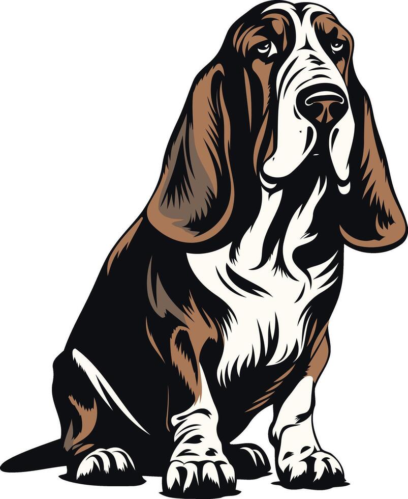 Basset Hound Illustration vector