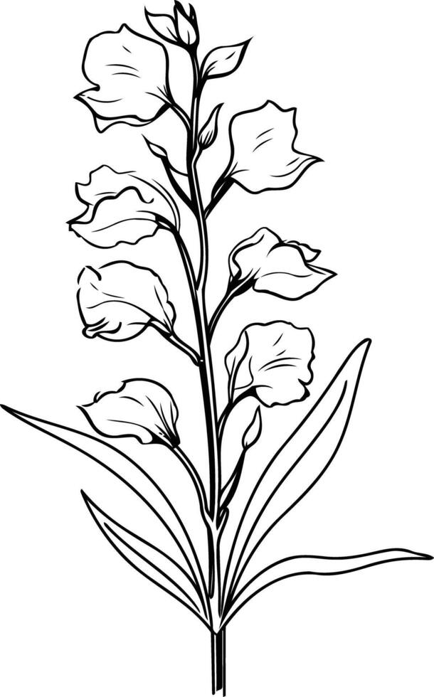Elegant line art illustration of a delicate flower, perfect for adding a touch of nature to your designs vector