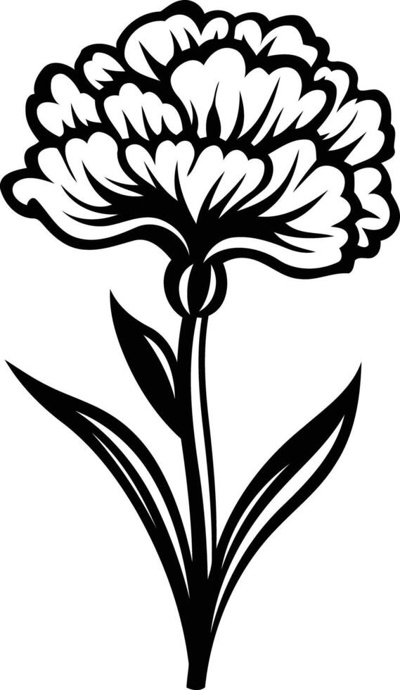 Elegant black and white carnation flower illustration, perfect for floral designs, invitations, and greeting cards vector