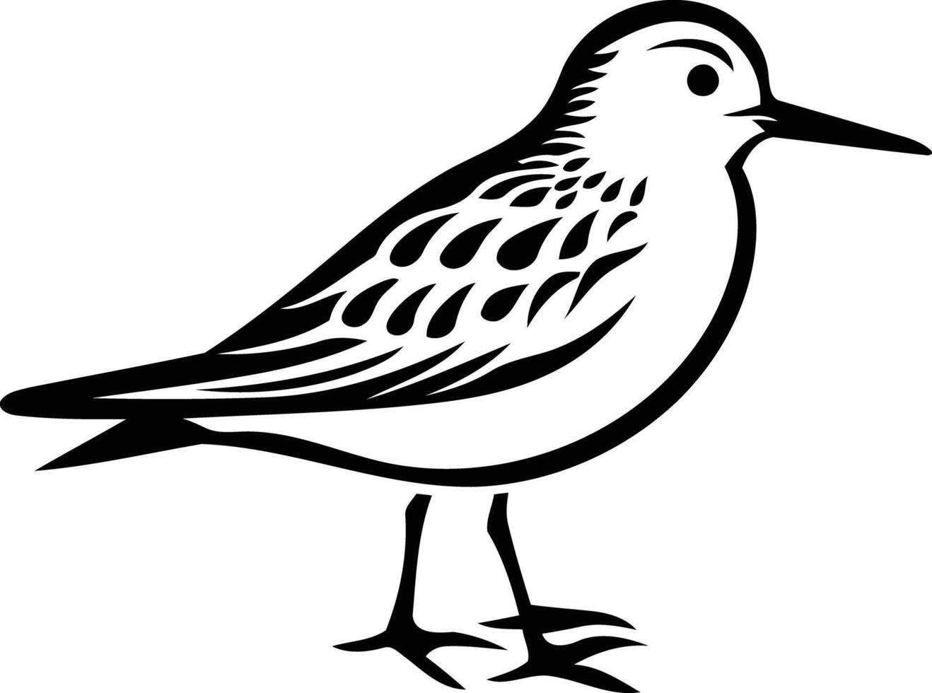A simple, bold line drawing of a sandpiper bird, perfect for nature-themed designs, illustrations, or tattoos vector