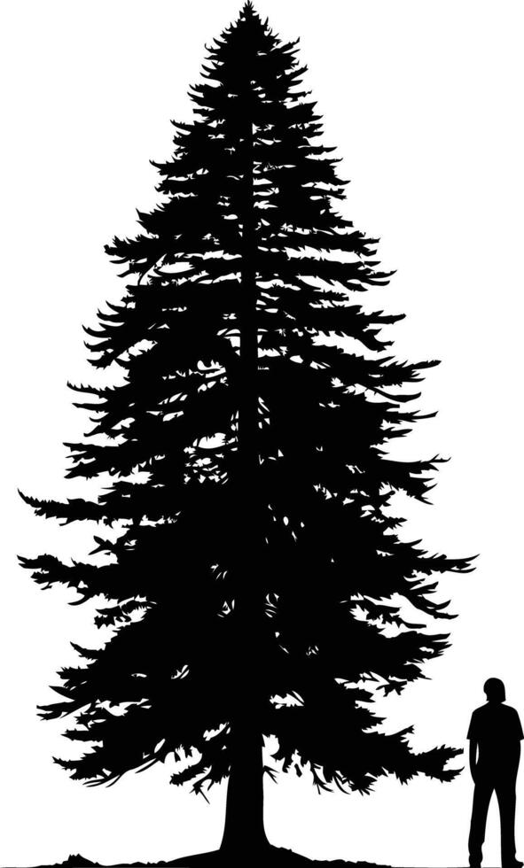 A simple yet striking silhouette of a tall pine tree with a single person standing in front of it vector