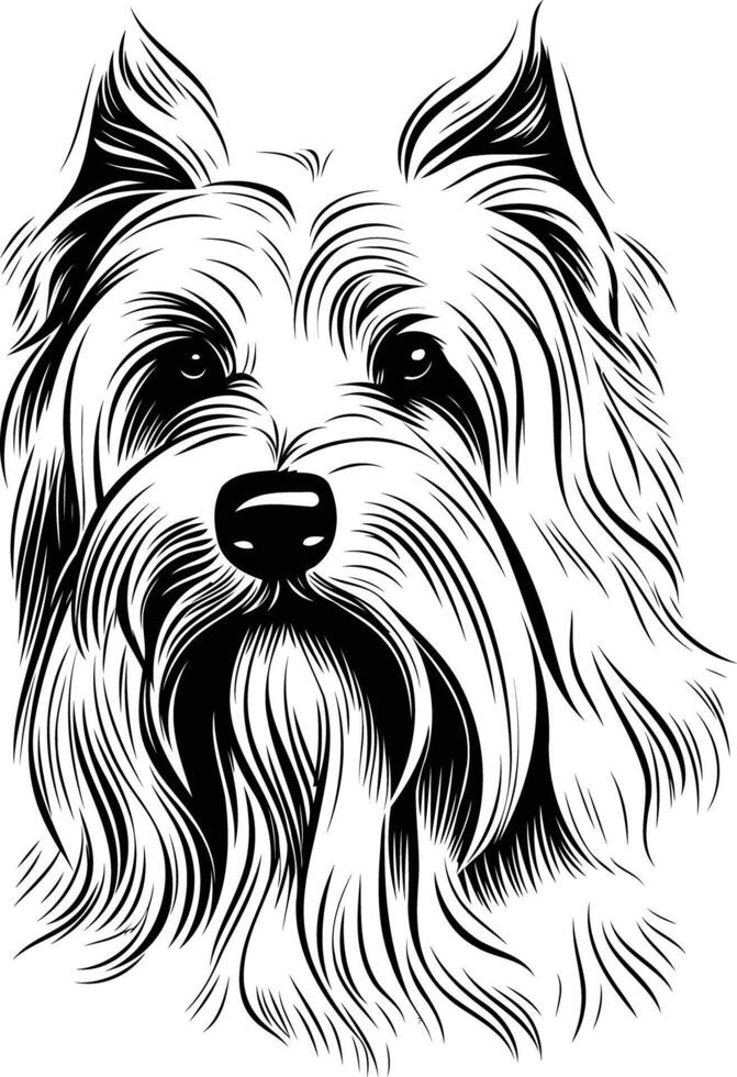Black and white line drawing of a yorkshire terrier's head, with a focus on detail and fluffy texture vector