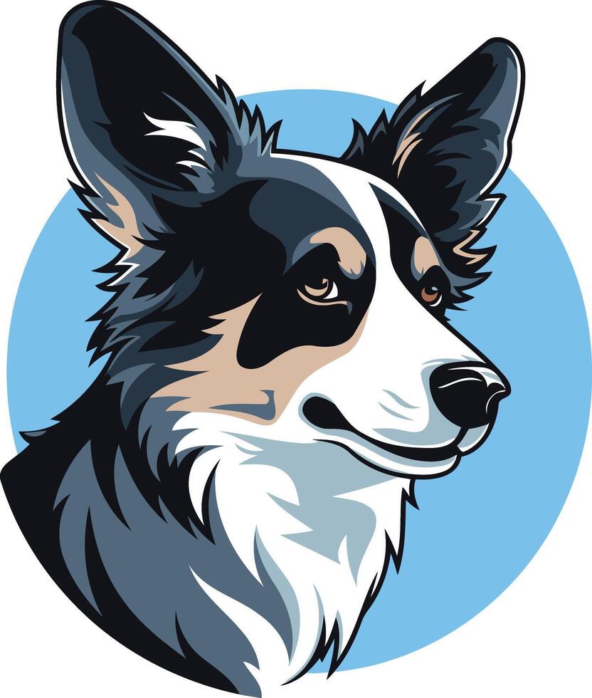 Border Collie Portrait with Blue Background vector