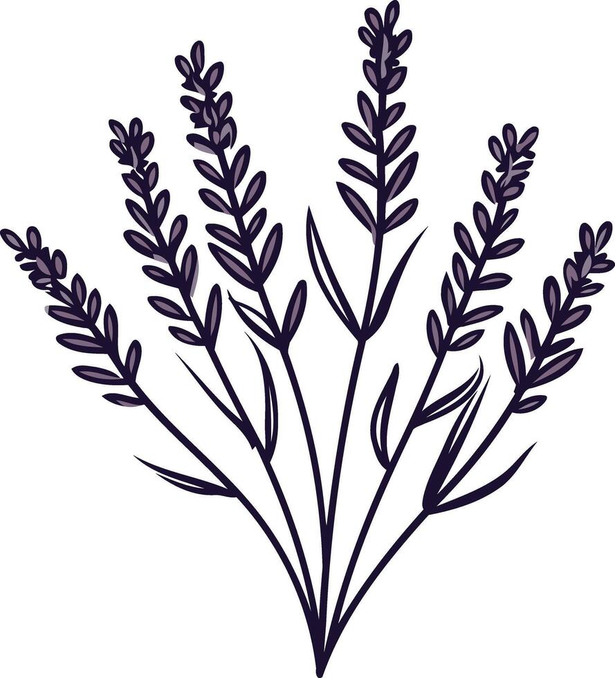 Lavender Bouquet Illustration vector