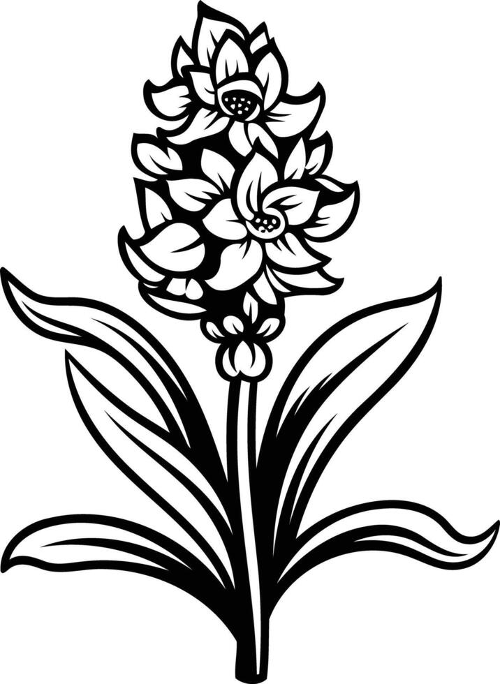 Elegant black and white illustration of a hyacinth flower, perfect for botanical designs, tattoos, or vintage-inspired projects vector