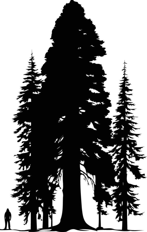 A majestic silhouette of a giant sequoia tree, towering over two smaller trees, with a tiny human figure in the foreground, creating a powerful sense of scale and grandeur vector