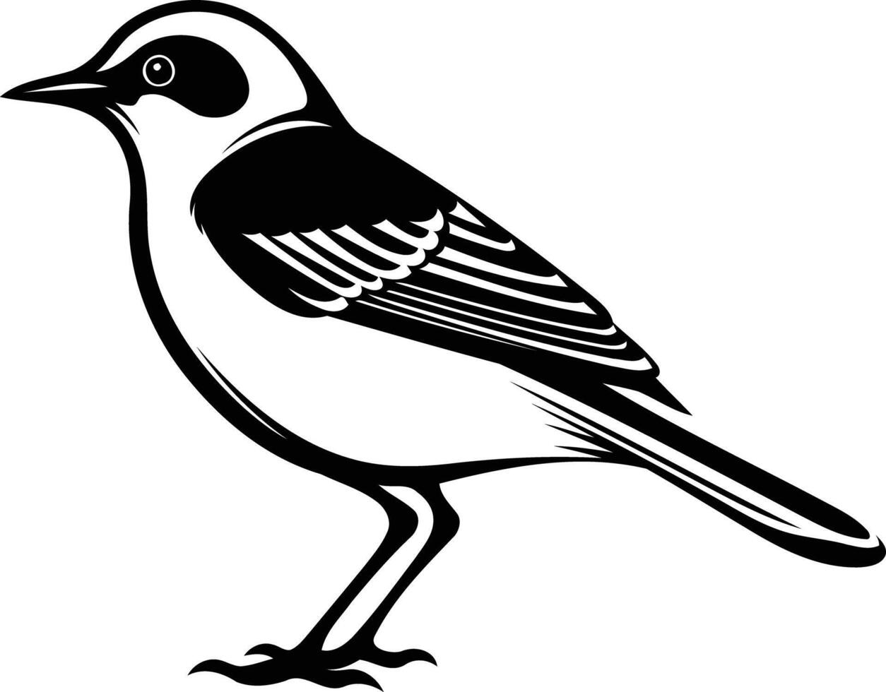 A simple yet striking black and white silhouette of a bird, perfect for nature, wildlife, or ornithology projects vector