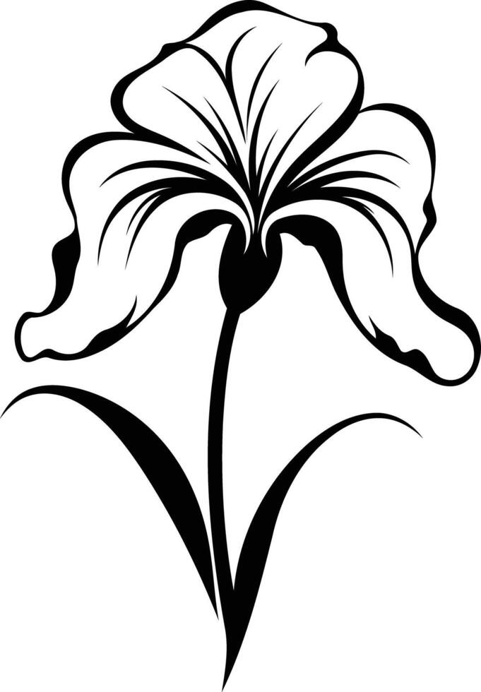 Elegant black and white illustration of an iris flower with a minimalist design vector