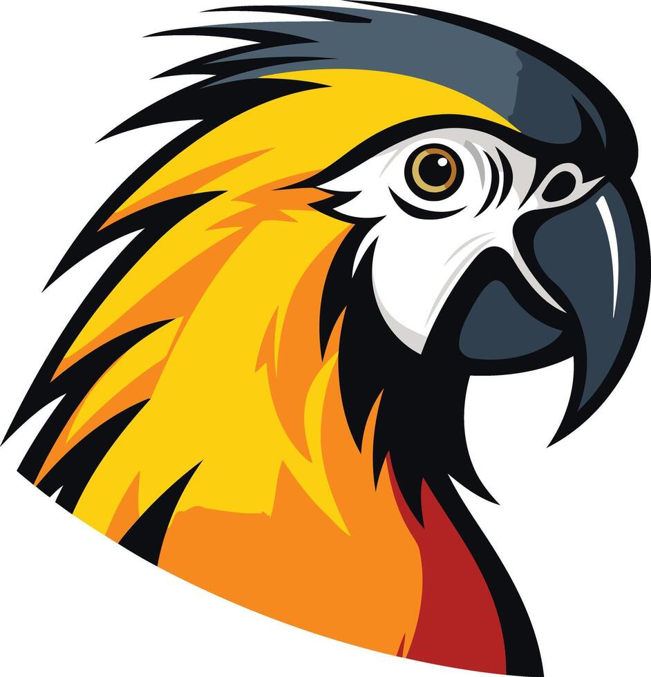 Head of a Yellow and Blue Macaw vector