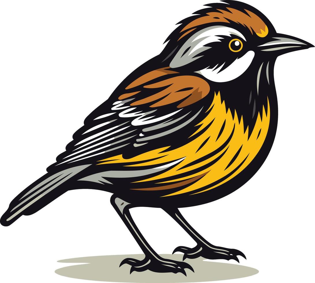 Yellow-Breasted Bird Illustration vector