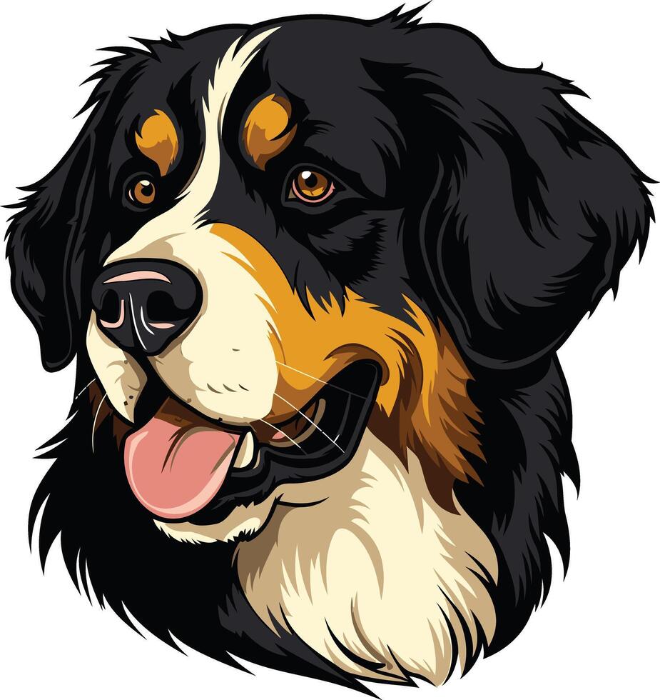 Portrait of a Bernese Mountain Dog vector