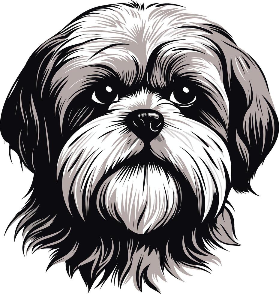 Portrait of a Shih Tzu vector