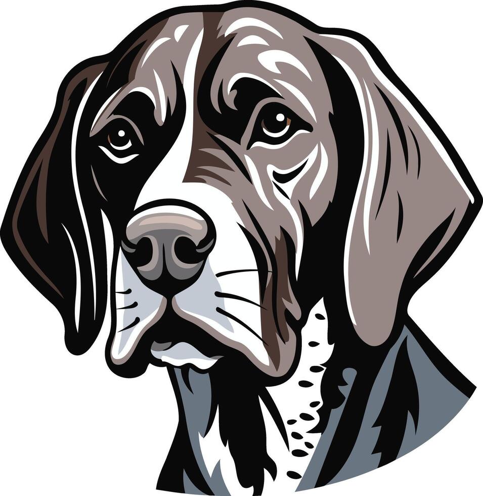 Portrait of a German Shorthaired Pointer vector