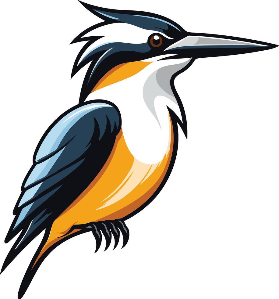 Cartoon Illustration of a Bird with Orange and Blue Feathers vector