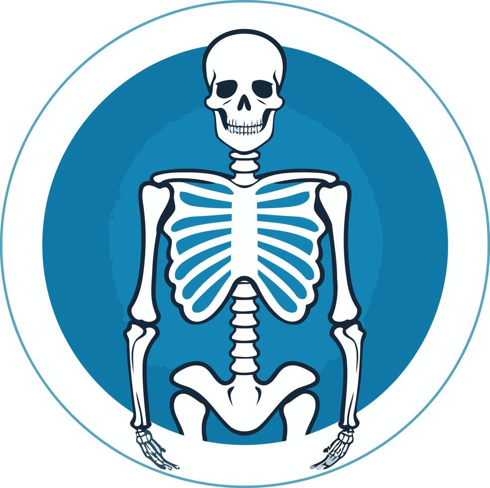 Simple and striking skeleton icon in a blue circle, perfect for medical, health, and science branding vector