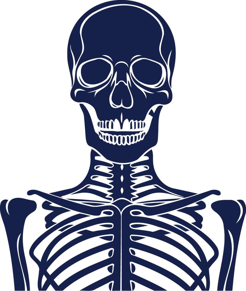 Blue Skeleton Illustration vector