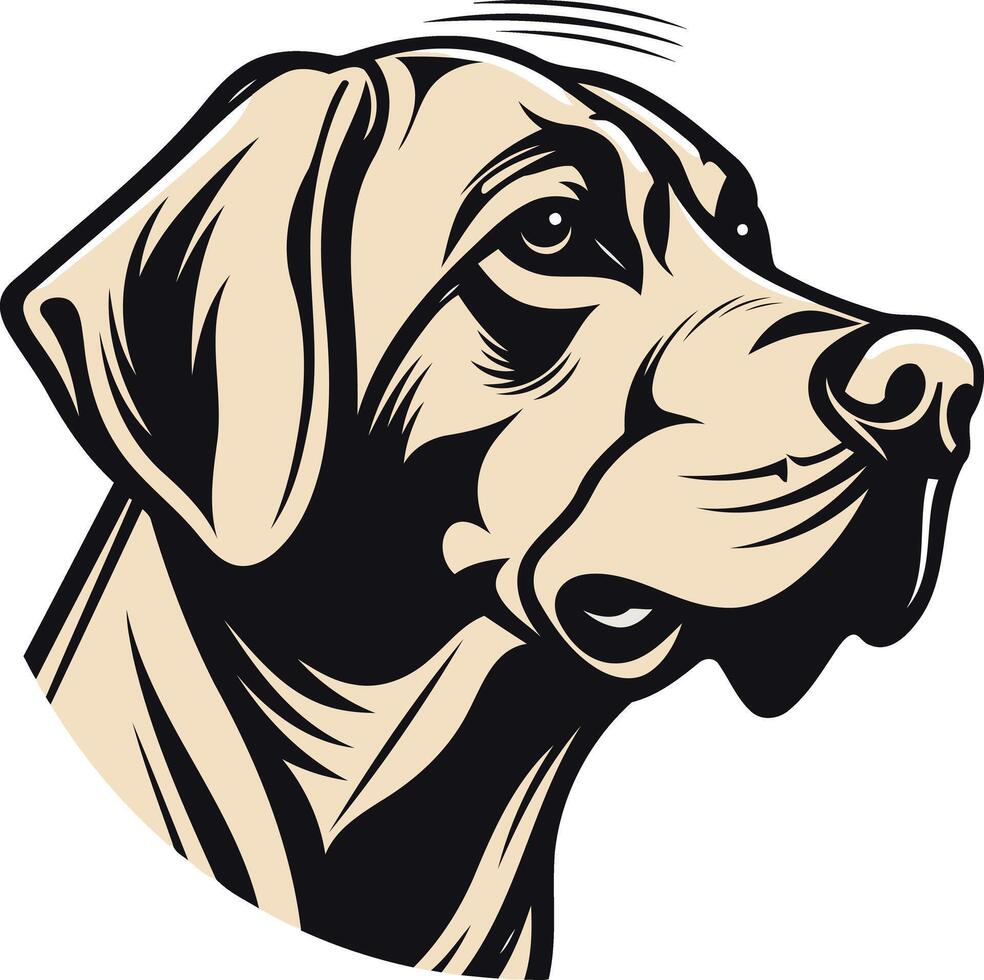 Head of a Labrador Retriever vector