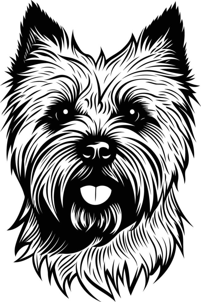 A detailed line art illustration of a cairn terrier dog vector